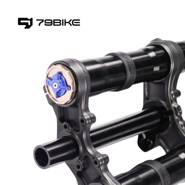 79Bike Falcon Pro FastAce ALX33RC 2.0 Fork (for Replacement) - Image 5
