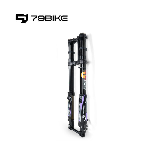 79Bike Falcon Pro FastAce ALX33RC 2.0 Fork (for Replacement) - Image 8