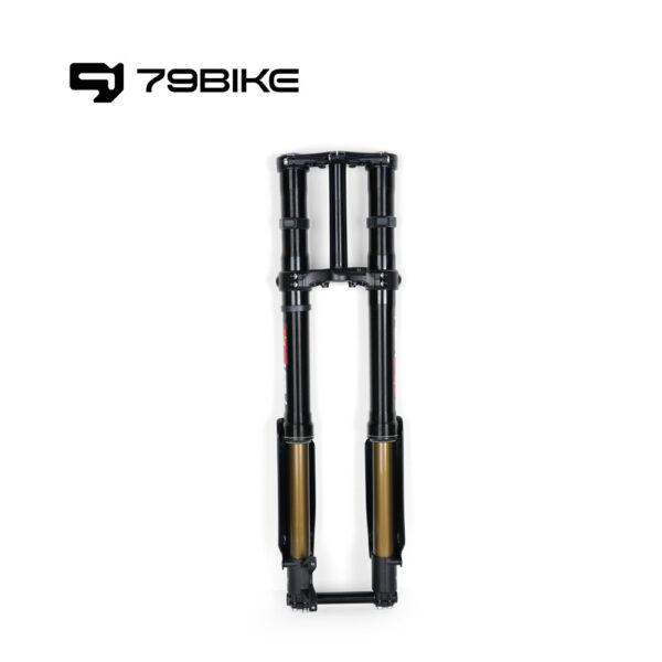 79Bike Falcon Pro FastAce ALX33RC 2.0 Fork (for Replacement) - Image 4