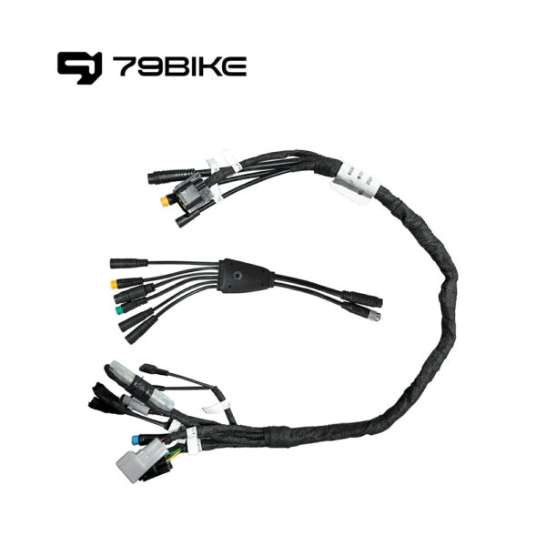 79Bike Whole Wiring Harness