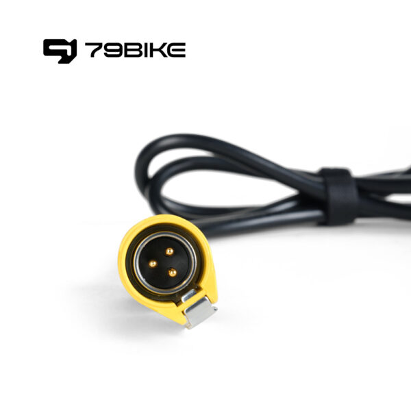 79Bike Charger - Image 3