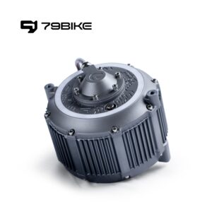 79Bike Falcon Pro Motor